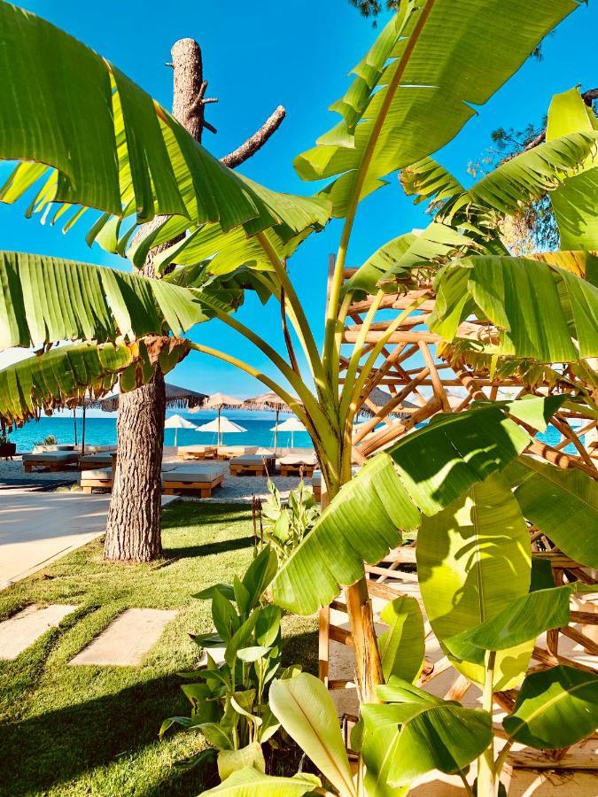 Mako Sea & Suites Pefkochori Extérieur photo